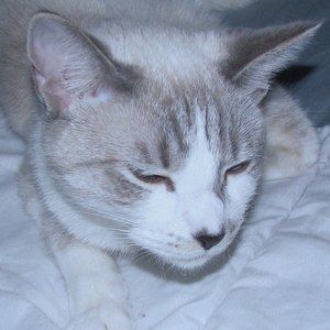 Meet your Posher, Sharon